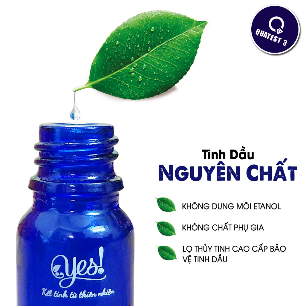 TINH DẦU GỖ HỒNG YES! ( ROSEWOOD ESSENTIAL OIL )