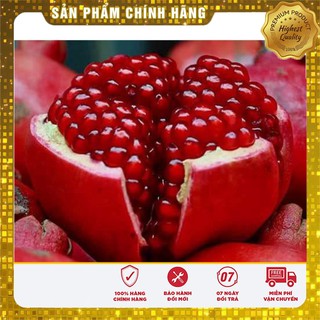 Hạt Giống Cây Lựu Lùn Đỏ 5-10 hạt