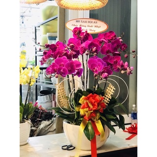 Cuộn dây kẽm vàng dùng để cố định
