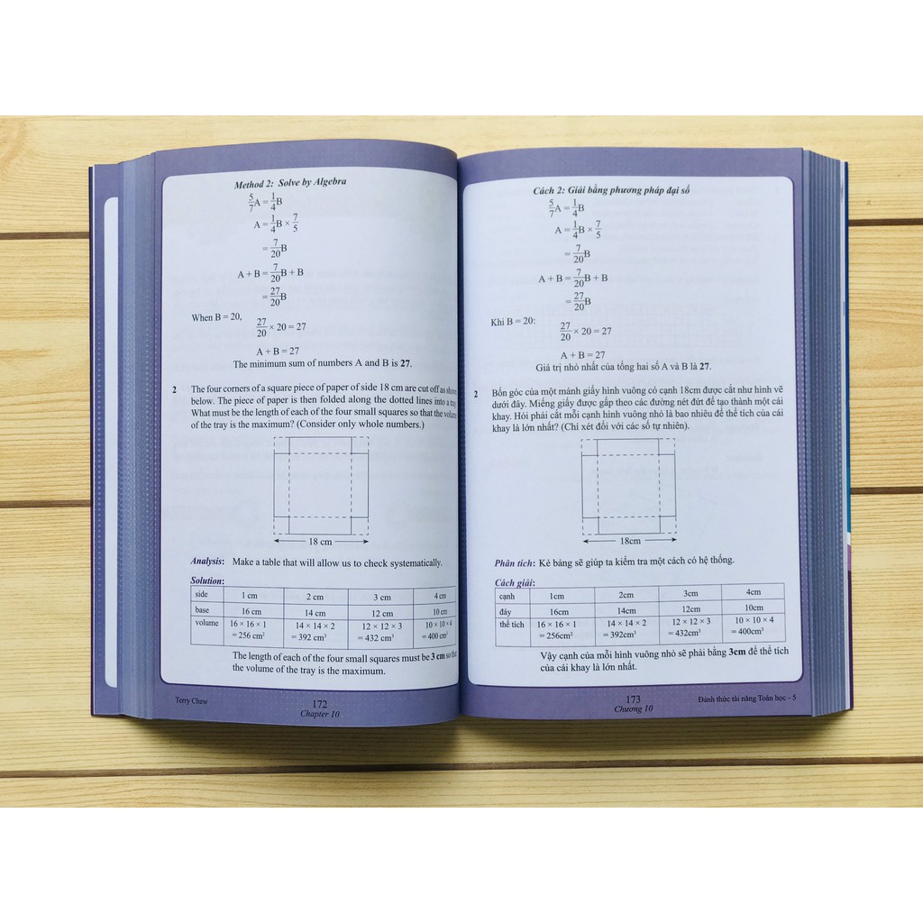 Sách - Đánh Thức Tài Năng Toán Học 05 - Toán lớp 5, lớp 6 ( 11 -13 tuổi )