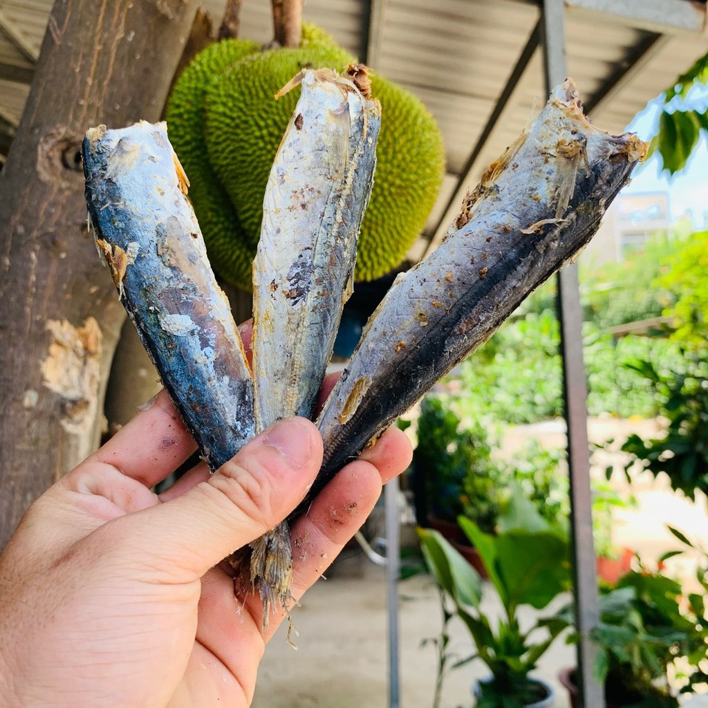Khô cá nục loại ngon 1kg Thịt cá bao ngon. Cá săn chắc, thịt dai và thơm. Đảm bảo vệ sinh an toàn thực phẩm