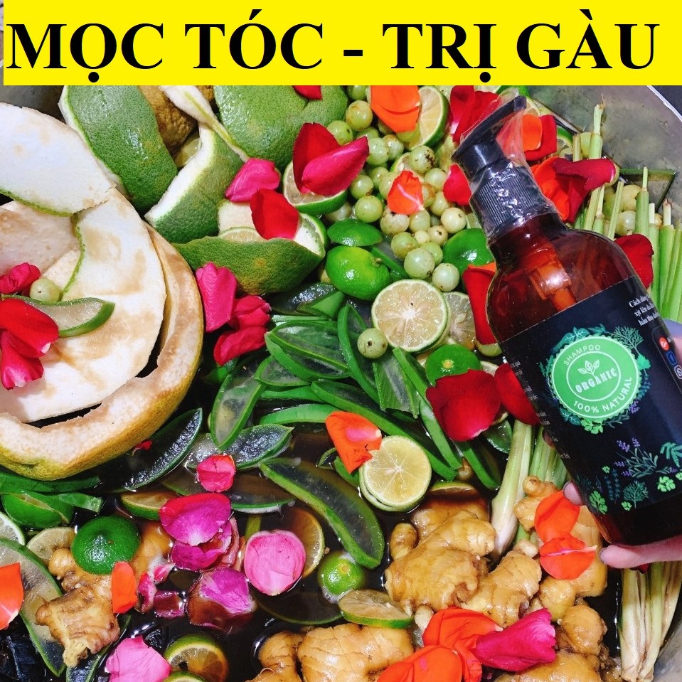 [Freeship] - Dầu Gội Thảo Dược Organic -  Mọc Tóc - Chống Rụng Tóc - Phục Hồi Tóc Hư Tổn - 350ml | BigBuy360 - bigbuy360.vn
