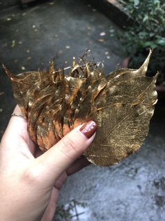 Xương lá bồ đề mạ vàng