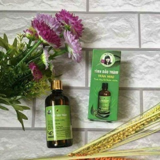 Combo 3 chai tinh dầu tràm Trần Mao giá yêu thương tri ân khách hàng