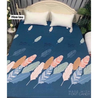 Ga chống thấm cotton đủ các kích thước 1m6, 1m8, 2m