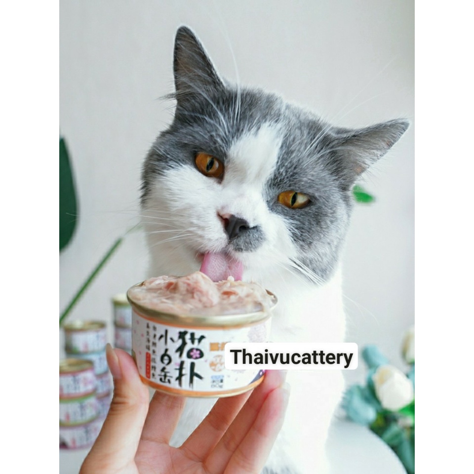 Pate Súp Cá Ngừ Ma Bư Hộp 80gr 6 Vị Mix Tổng Hợp