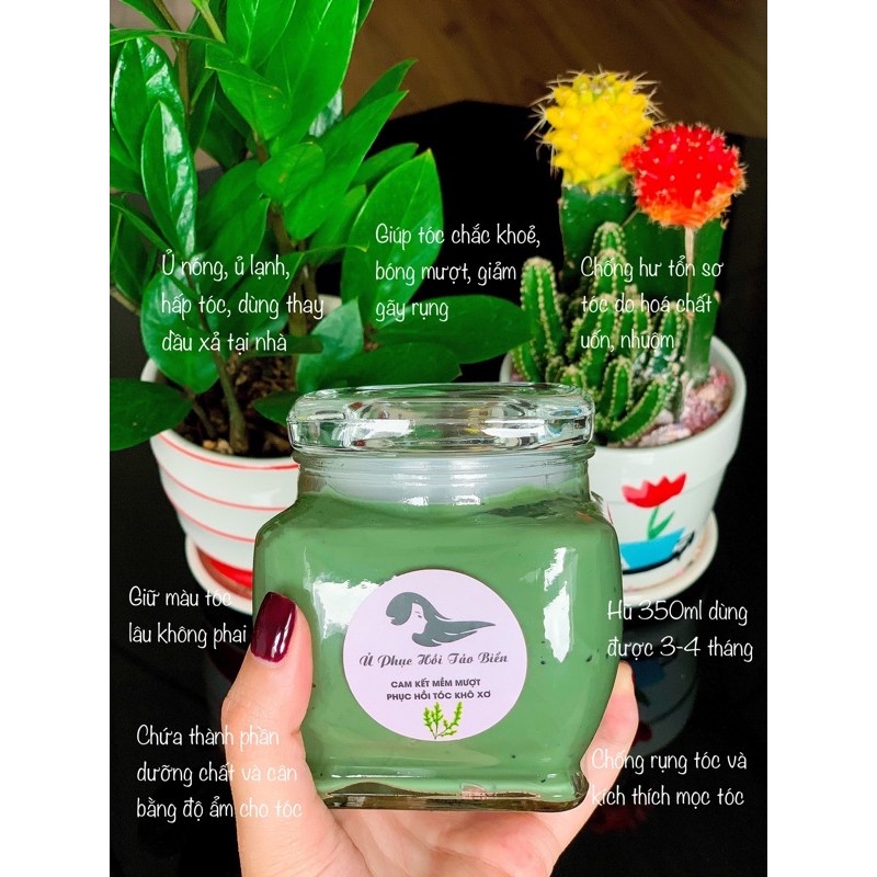 Ủ phục hồi tóc tảo biển