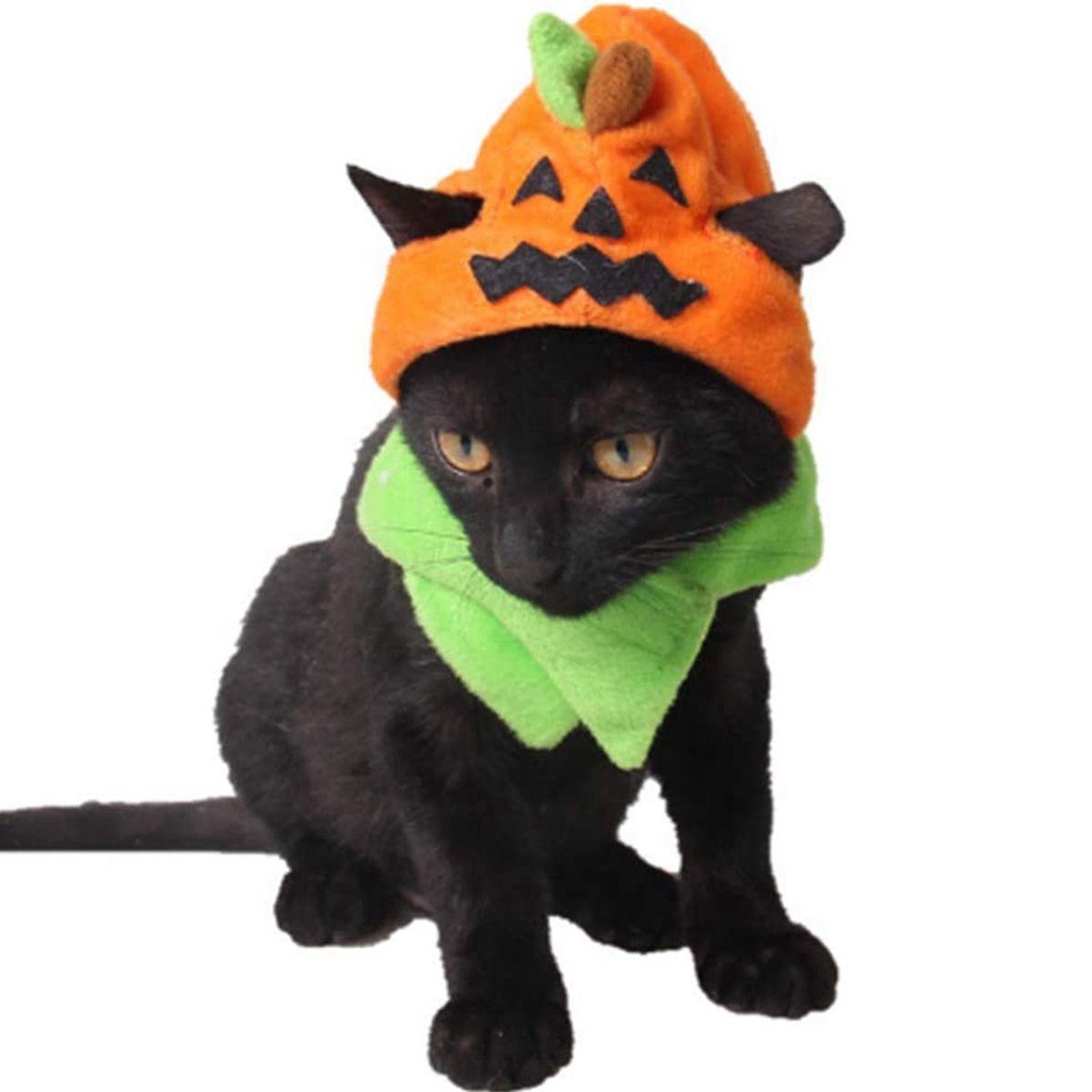 Mũ Đội Đầu Hình Mèo NORMAN Mềm Mại Dễ Thương Vui Nhộn Có Thể Điều Chỉnh Dành Cho Mèo Cưng