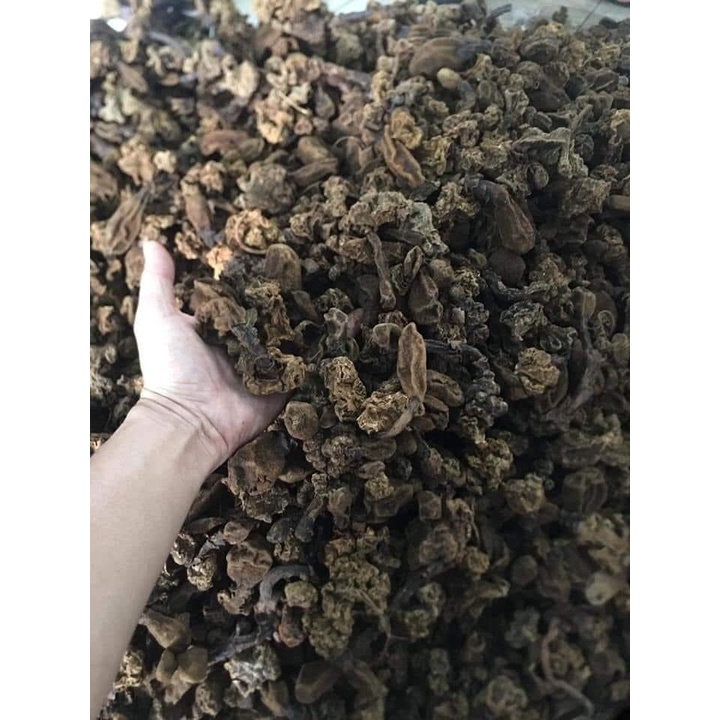 Nấm Ngọc Cẩu ( Nấm Toả Dương ) Khô Loại 1 Nguyên Búp, Khô Thơm Giúp Tăng Cường Sức Khoẻ, Bổ Thận tráng Dương Túi 1Kg | BigBuy360 - bigbuy360.vn