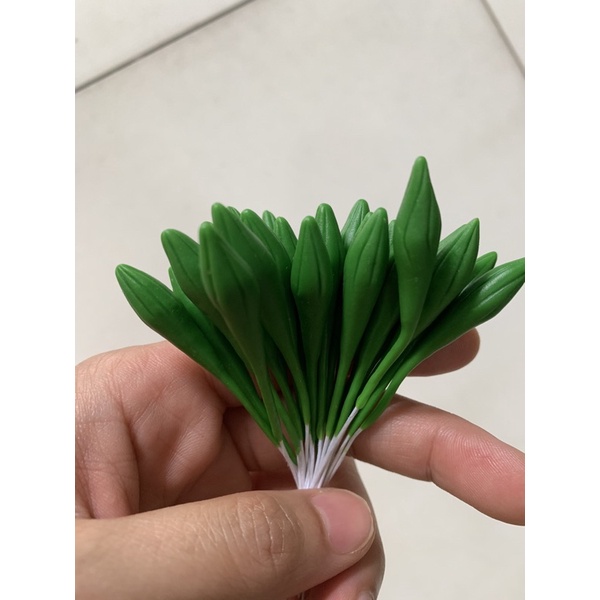 Nụ lan bướm- nụ hoa lan