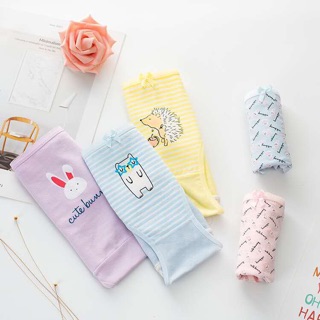 Set 5 quần chip dành cho nữ