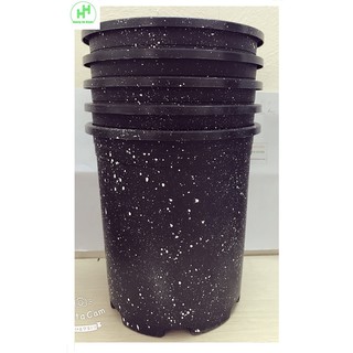 5 Chậu Nhựa Giả Đá Đen Minh Dũng size 3 (3Gal)