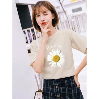 Áo thun hoa cúc cotton mịn mát