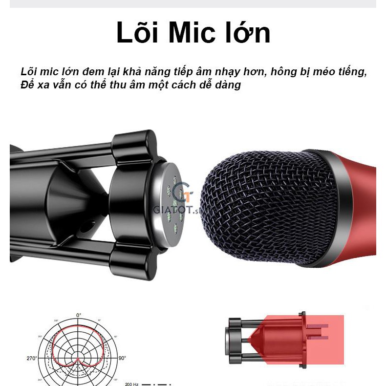 Bộ micro thu âm livetream karaoke C25