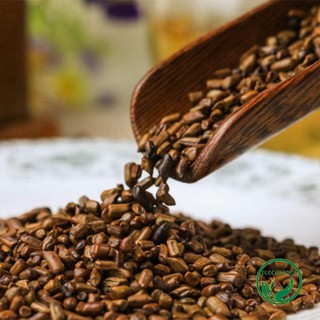 🌱 500gr Thảo Quyết Minh (Hạt muồng muồng, To, Sạch, Đẹp) - Sản phẩm được thu hái tự nhiên - DLQ509