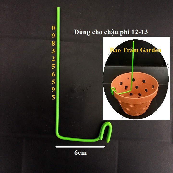 Set 5 que kẹp chậu giữ lan (kie lan)