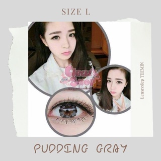 lens pudding gray xám giãn tròng