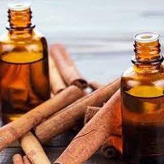Tinh Dầu Vỏ Quế ( Cinnamon Essential Oil )