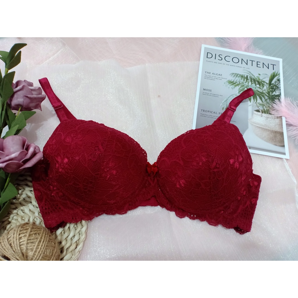 Áo Ngực Ren Chìm, Mút Vừa E343 - 83 - Thương Hiệu 12h