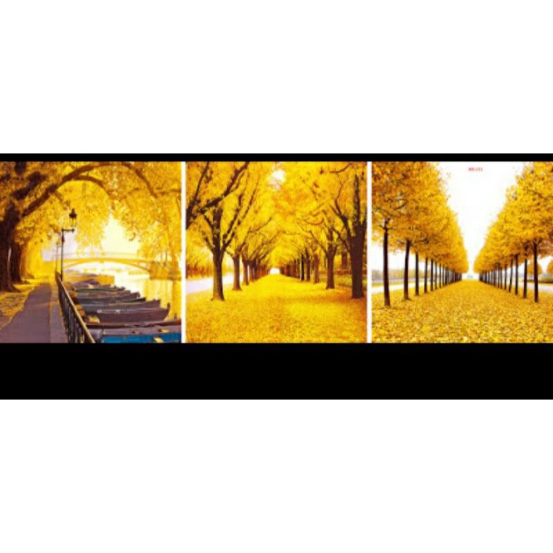 Tranh treo tường 3D chất lượng cao khung nhựa composit đường lá vàng sét 3 KT:40×40/1 tấm