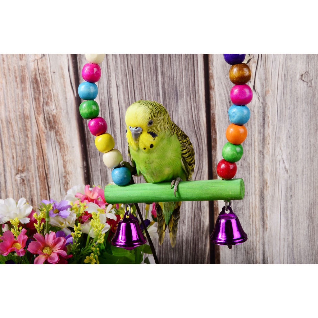 Vẹt chơi vẹt xích đu treo treo thang thang Leo thang hổ lồng chim Leo thang nhai đồ chơi
