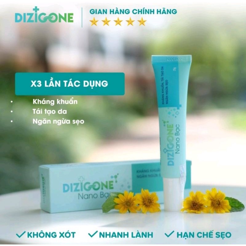 Dizigone nano bạc ⚡ Tặng quà ⚡ Tuýp 25g Giúp kháng khuẩn, lành vết thương, tái tạo da, ngăn ngừa sẹo