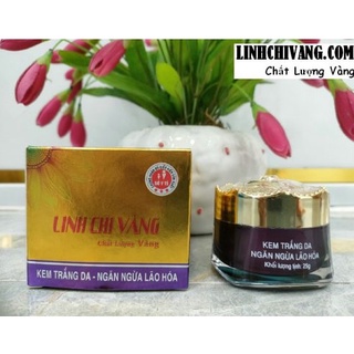 Kem trắng da ngăn ngừa lão hóa linh chi vàng