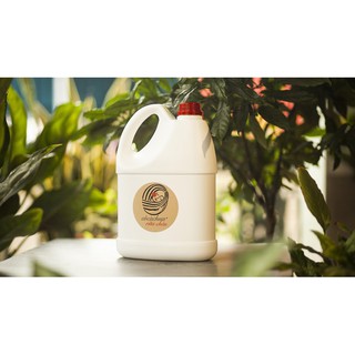 NƯỚC RỬA CHÉN COCACHUA