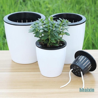 Chậu trồng cây thủy sinh tự động thấm hút nước tiện dụng