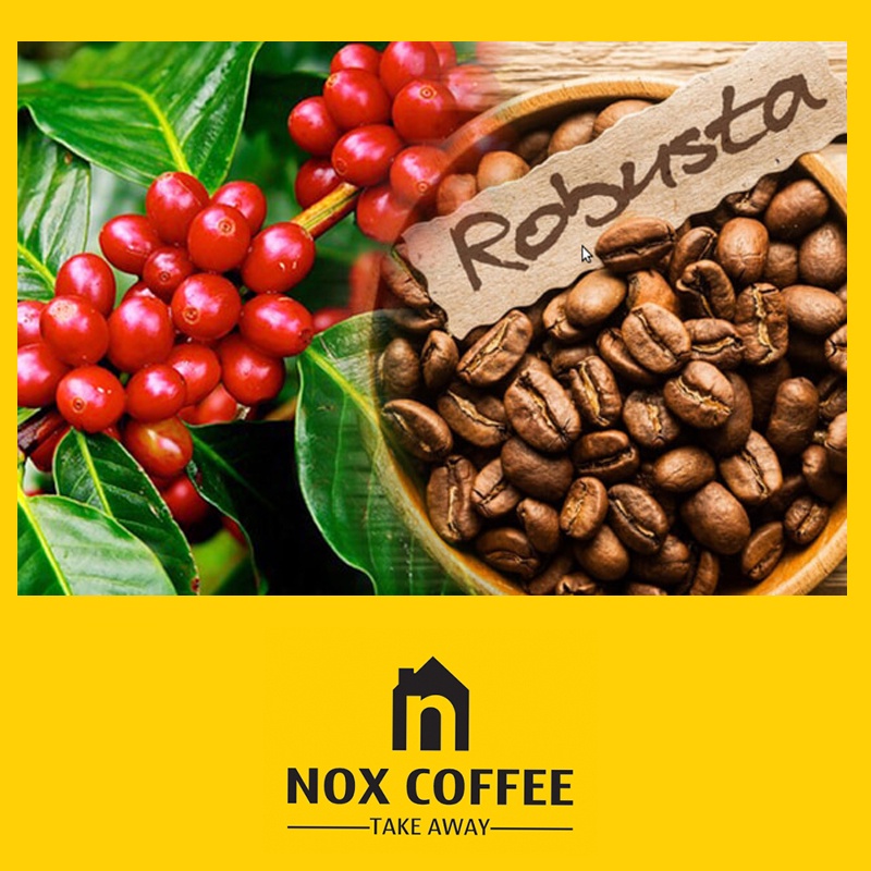 1 Kg Cà Phê Rang Xay Pha Phin - 100% Robusta