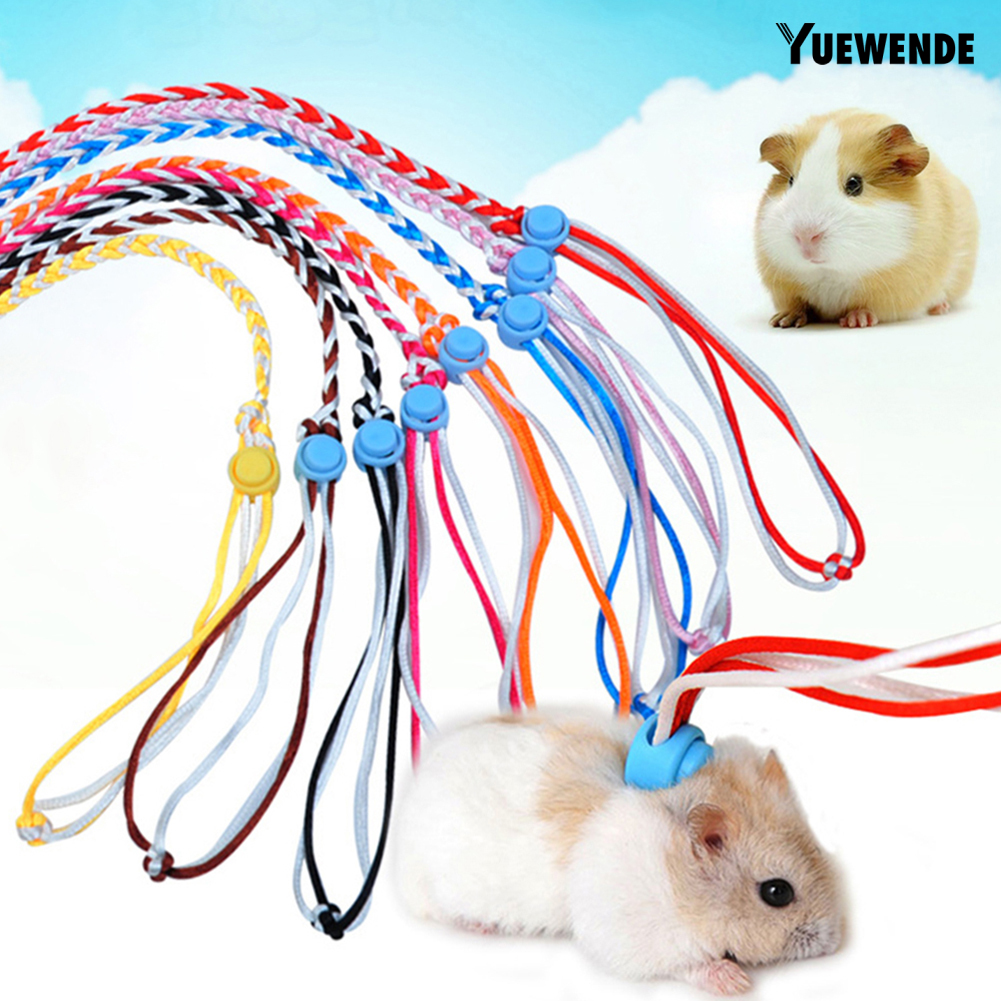 Dây Dắt Chuột Hamster/Thỏ Đi Dạo Tiện Dụng Dài 1.4/2m