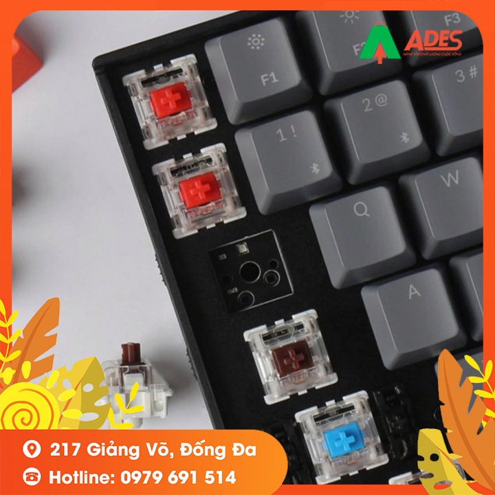 Bàn Phím Cơ Keychron K4V2 - Bảo Hành Chính Hãng 12 Tháng