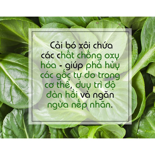 Bột cải bó xôi Dalahouse nguyên chất 100% tăng cường thị lực, thực đơn cho bé ăn dặm cực kỳ tốt - Túi 50g