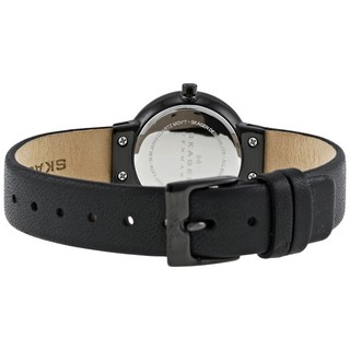 Đồng hồ nữ Skagen 456SBLB