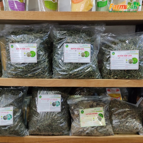 Xuyên Tâm Liên giúp thanh lọc cơ thể, giảm ho, tiêu đờm – 1kg