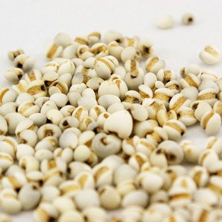 Bột Ý Dĩ Nguyên Chất 100g