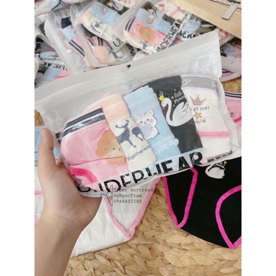 Set 5 quần chip nữ hình ngộ nghĩnh - Quần lót nữ hình siêu cute, chất hàn mền mát, túi zip, gửi set ngẫu nhiên