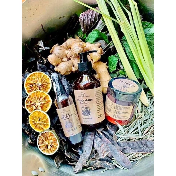 COMBO DẦU GỘI CỐT BỒ KẾT  PHƯƠNG ANH COSMETIC