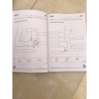 300 KINDERGARTEN (Gồm Maths/English/Science)