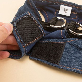Combo áo jean+dây dắt thú cưng, dây dắt chó mèo