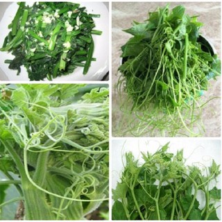 Hạt Giống Bí Siêu Ngọn Cao Sản (10gr)