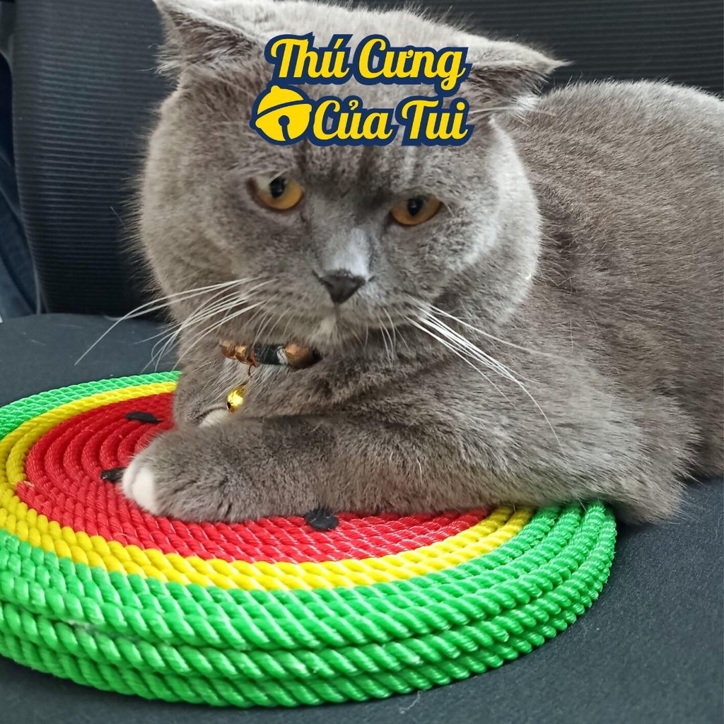 Bàn cào móng dây thừng hình dưa hấu cho mèo chơi - Thú Cưng Của Tui