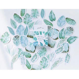 Hộp 45 miếng sticker mẫu lá xanh bạc hà mint diary