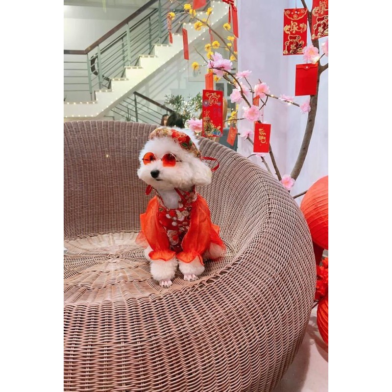 Áo Tết Cho Chó Mèo - Váy gấm hoa mai dễ thương