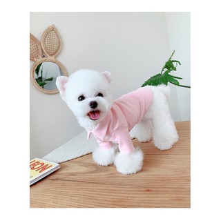 Áo cổ trơn cổ bẻ cho thú cưng