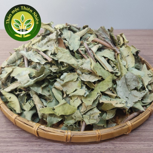 Lá vối nếp sấy khô siêu sạch, giảm cân hiệu quả, thanh nhiệt, giải khát, kích thích tiêu hóa [500 gram - 1kg]
