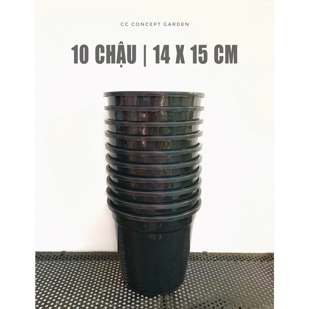 Bộ 10 Chậu Nhựa Đen Cứng 14x15 cm