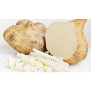 Củ sắn tươi ngon mọng nước