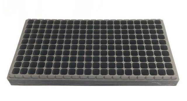 Khay gieo hạt chuyên nghiệp 200 ô