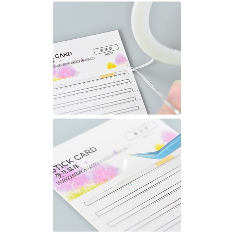 Sổ line mi kèm băng dính